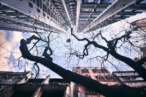 vertical-horizon_08