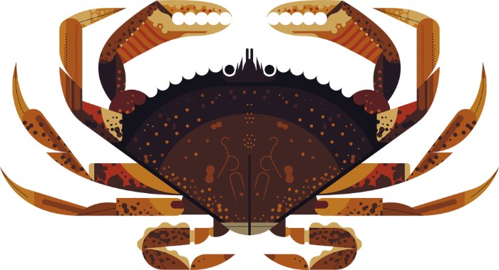 Owen Davey trabalha como ilustrador freelancer desde 2009 e parece que tudo começou logo após se formar na Universidade de Falmouth, nos Estados Unidos. Seu primeiro projeto foi uma ilustração para o Guardian Weekend que acabou sendo comissionado por um diretor de arte que havia estudado na mesma Universidade que ele. Foi assim que começou sua carreira como freelancer e, hoje em dia, ele coleciona clientes como Orange, Microsoft, Persil, New York Times, Templar Publishing, Walker Books, Creative Review, Jamie Oliver & Threadless.