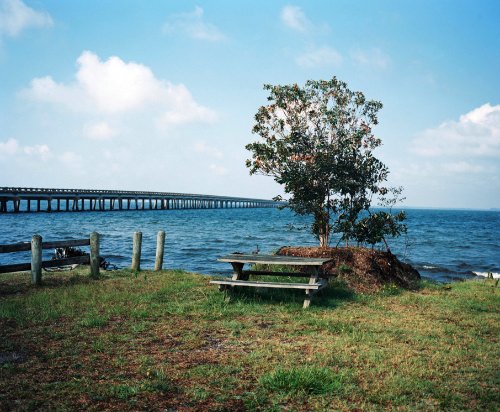 amaniwillett_08