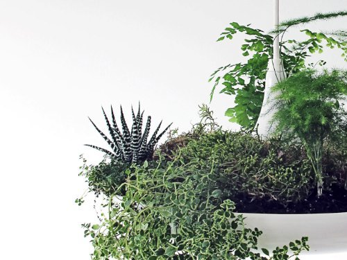 babylon suspended garden light fixture by studio O:I_04