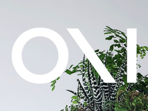 babylon suspended garden light fixture by studio O:I_05
