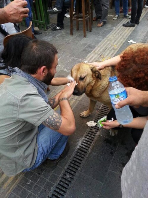 occupygezi_04
