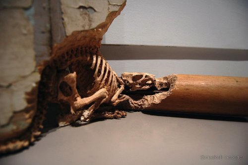 Maskull Lasserre_09