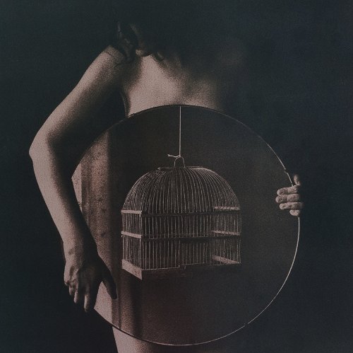 Seven Deadly Sins Anton Senkov_02