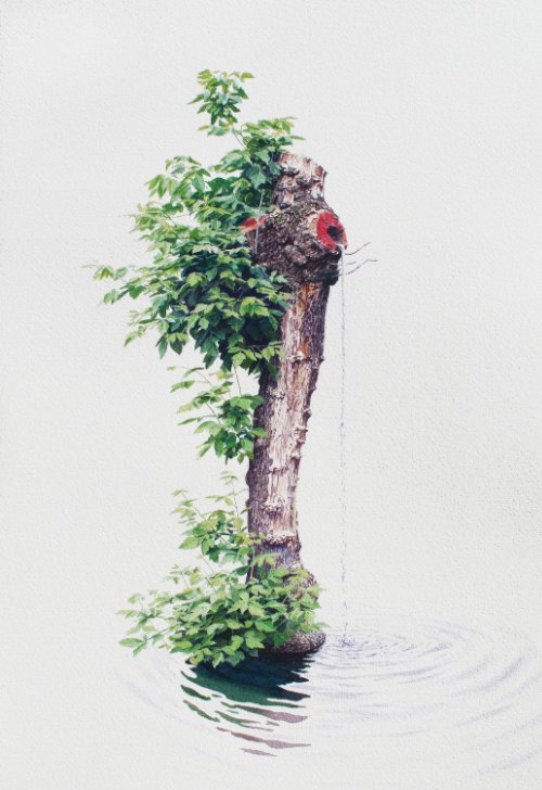 tristramlansdowne_05