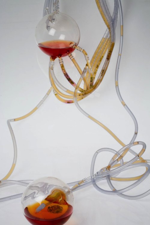 Algaerium Bioprinter_02