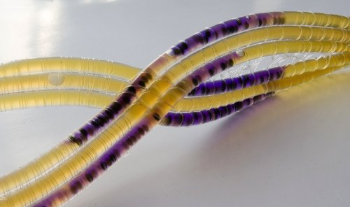 Algaerium Bioprinter_04