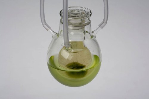 Algaerium Bioprinter_05