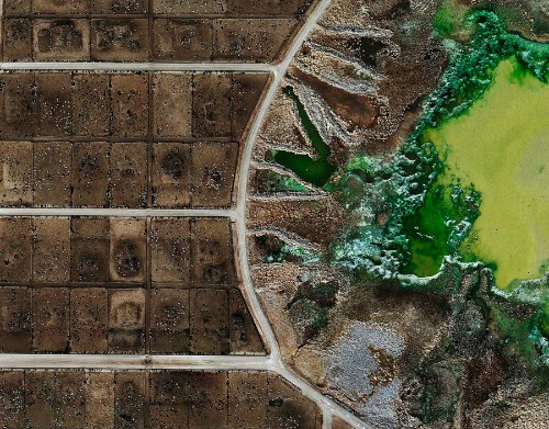 Feedlots_02