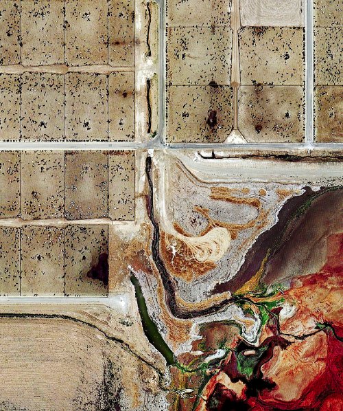 Feedlots_05