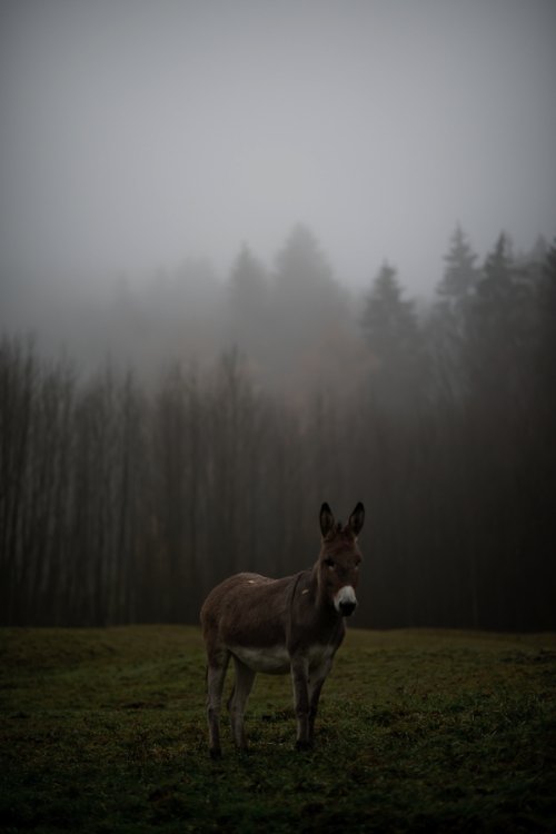 KathrinLoges+JanWunderlich_03