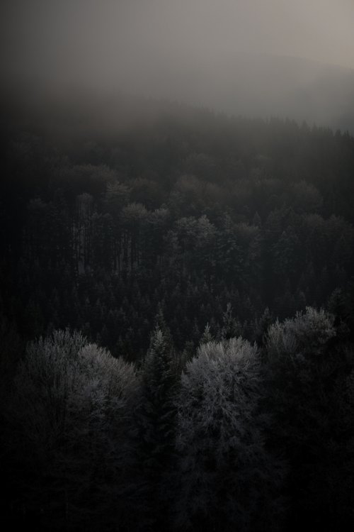 KathrinLoges+JanWunderlich_05