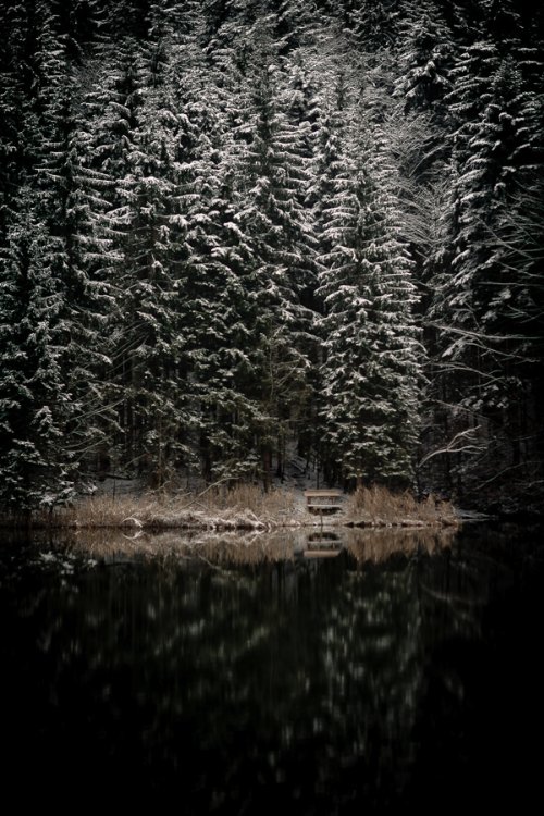 KathrinLoges+JanWunderlich_15