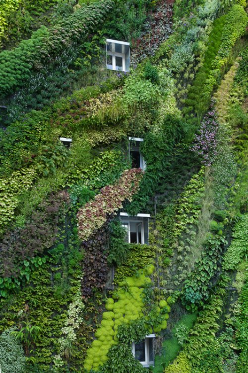 L'Oasis D'Aboukir Green Wall in Paris_02