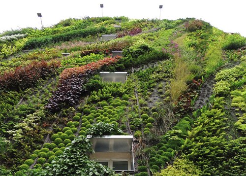 L'Oasis D'Aboukir Green Wall in Paris_03