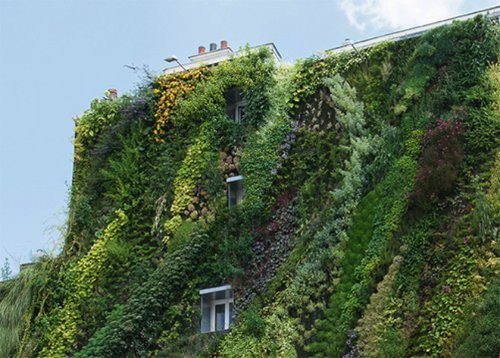 L'Oasis D'Aboukir Green Wall in Paris_05