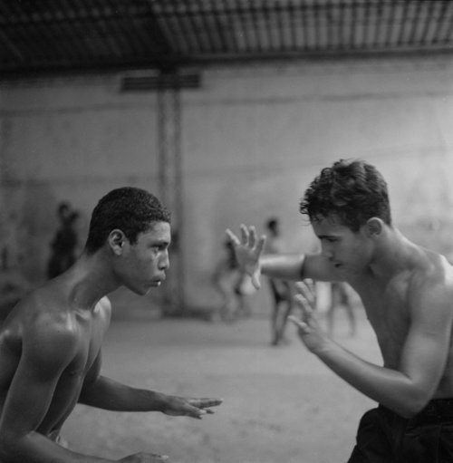 La Lucha by Laurence Salzmann_02