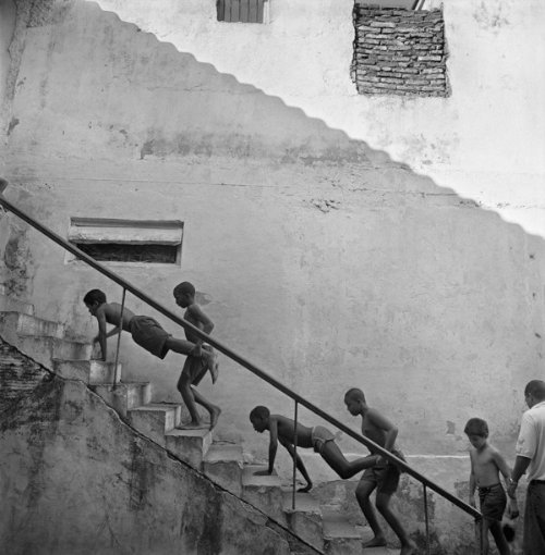 La Lucha by Laurence Salzmann_03