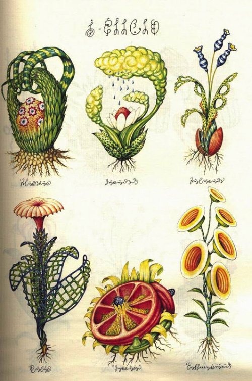 Codex Seraphinianus_02
