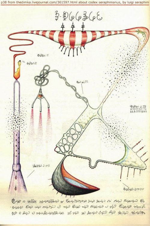 Codex Seraphinianus_05