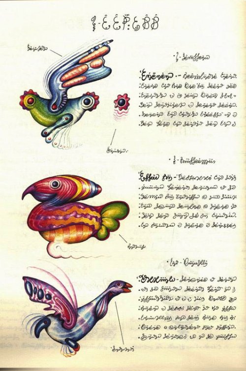 Codex Seraphinianus_08