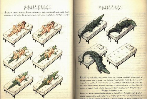 Codex Seraphinianus_11
