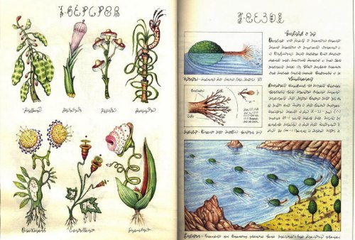 Codex Seraphinianus_12