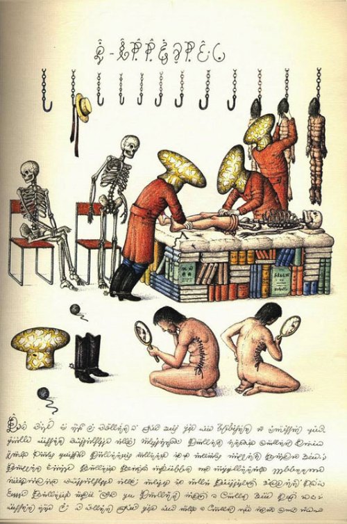 Codex Seraphinianus_14