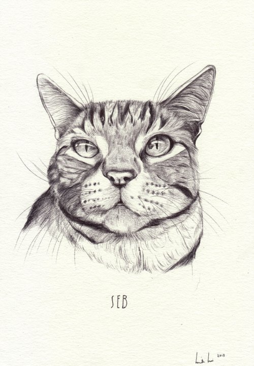 Henrietta Harris_04