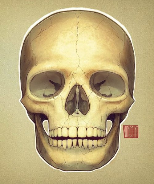 Vincent Hachen_04