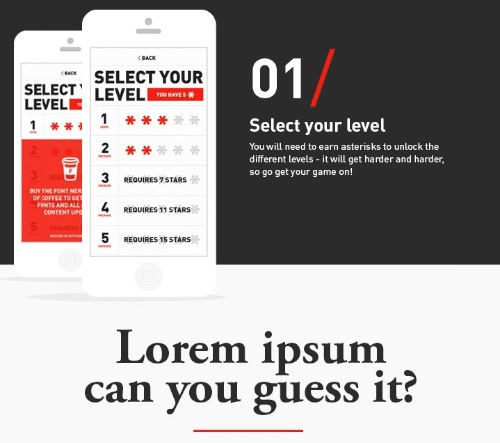 Font Nerd_02
