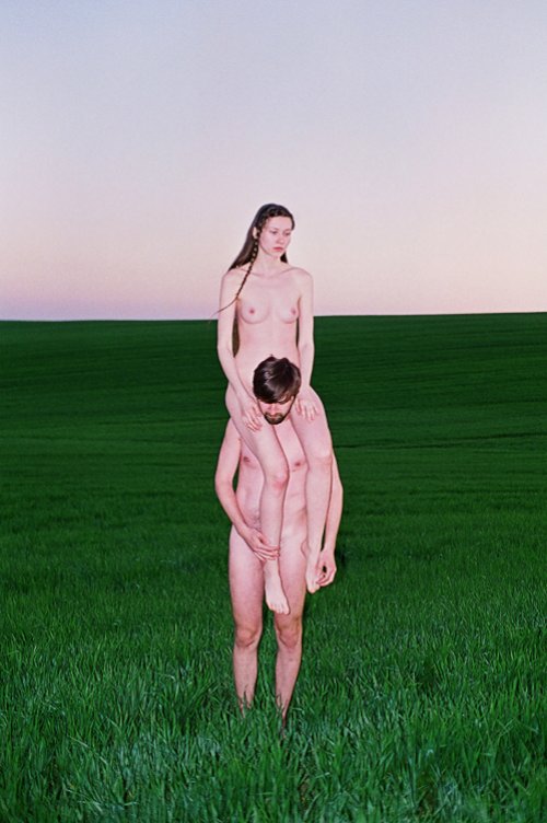 synchrodogs_02