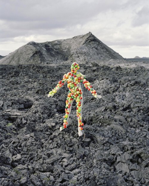 synchrodogs_03