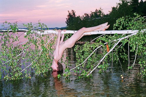 synchrodogs_05