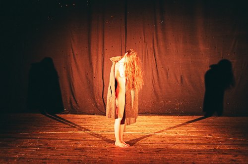 synchrodogs_10