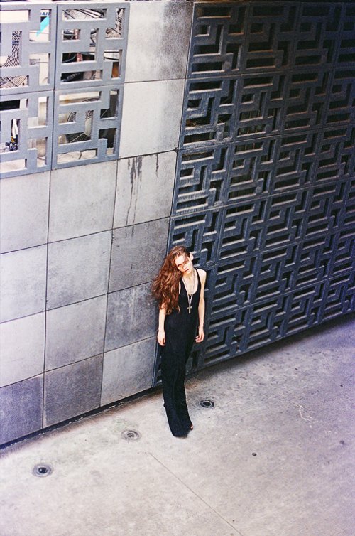 synchrodogs_12