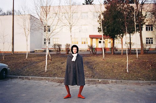 synchrodogs_13