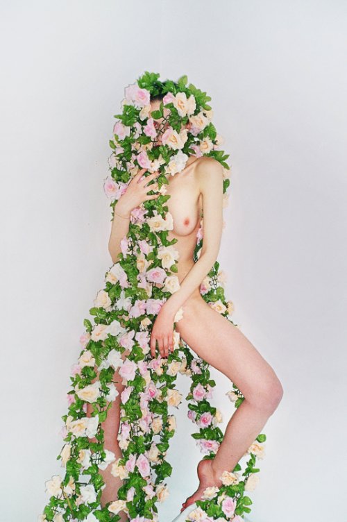 synchrodogs_15