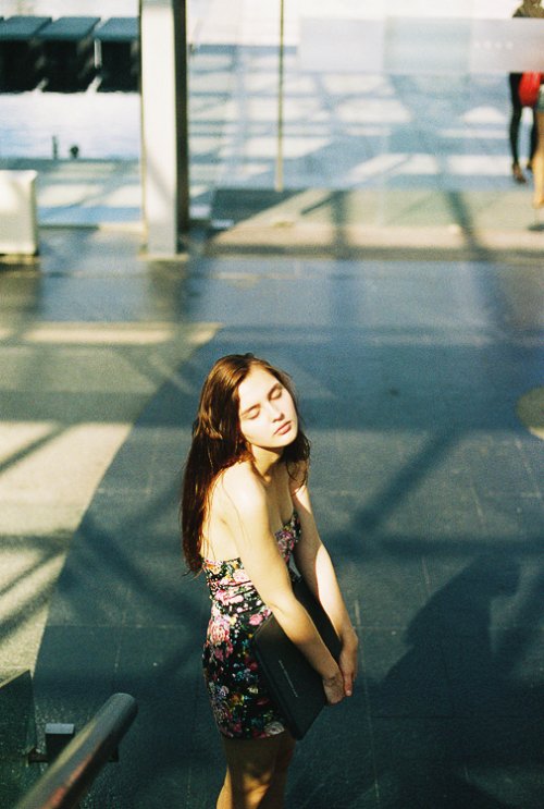 synchrodogs_16