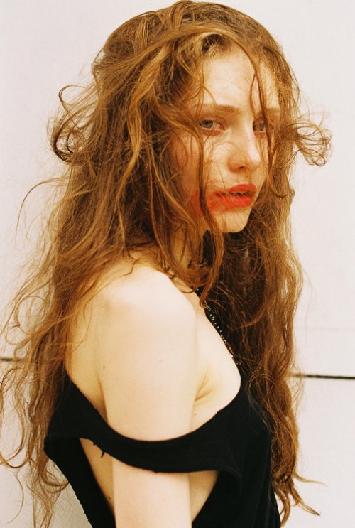 synchrodogs_18