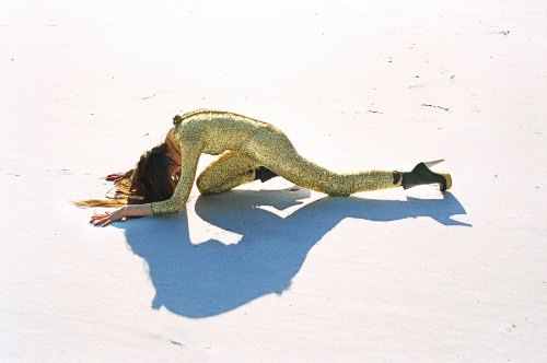 synchrodogs_19