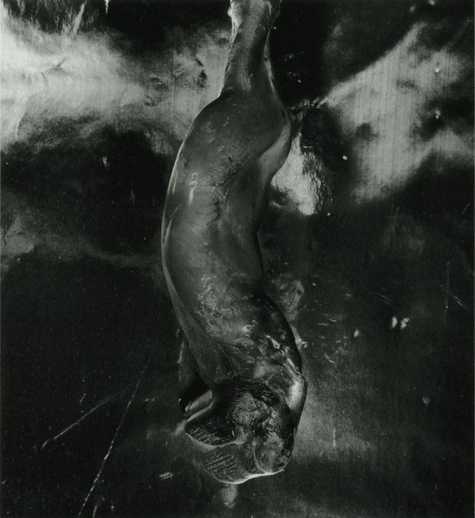 Shomei Tomatsu 07