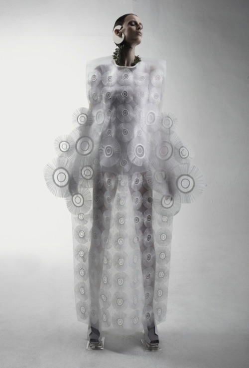 biophelia_08