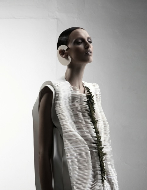 biophelia_09