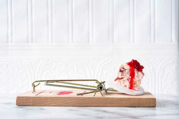 Gourmet Mouse Traps - David Luciano 03