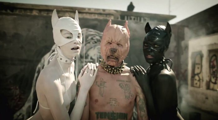 Pitbull Terrier do Die Antwoord 04