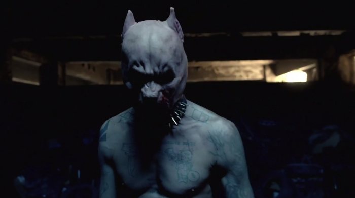 Pitbull Terrier do Die Antwoord 05