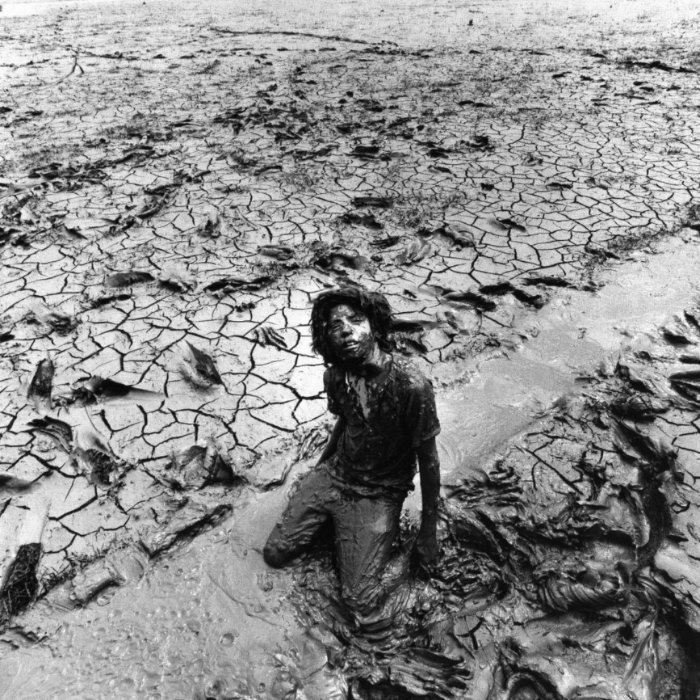 Era o final dos anos sessenta quando Arthur Tress começou uma série de fotografias inspiradas pelos sonhos de crianças. A ideia era que cada criança viesse até ele com um sonho que ela tinha e Arthur Tress iria recriar esse sonho artisticamente usando a criança como centro da obra. Todas as fotos foram produzidas em preto e branco e mostram um lado bem estranho do subconsciente infantil.