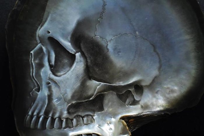 Gregory Raymond Halili Skulls 02