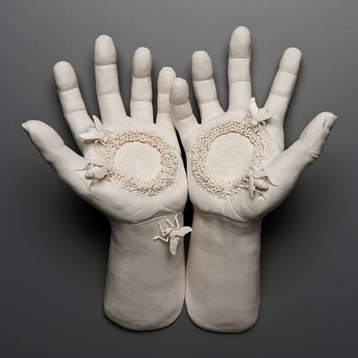 Kate MacDowell